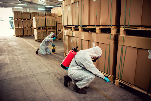 Best Bed Bug Extermination  in Gibsonburg, OH