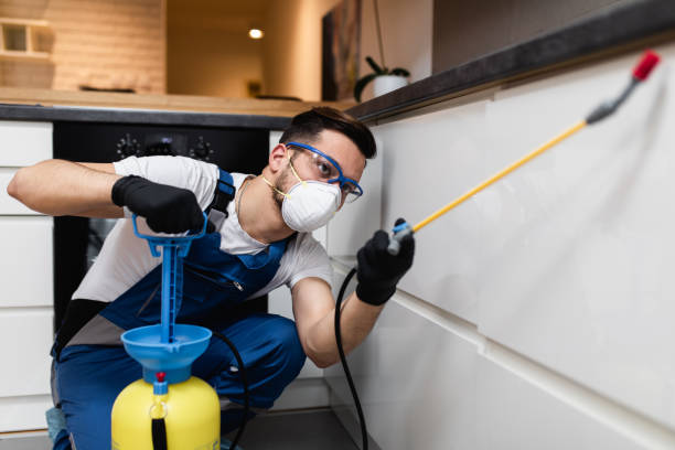 Best Affordable Pest Control Services  in Gibsonburg, OH