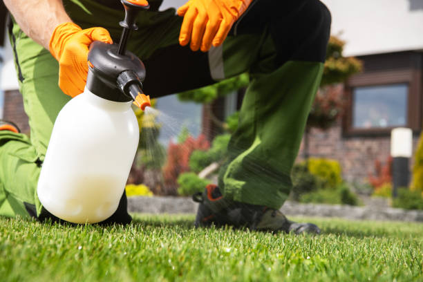 Best Termite Control Services  in Gibsonburg, OH
