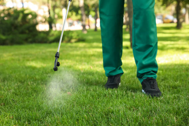Best Affordable Pest Control Services  in Gibsonburg, OH