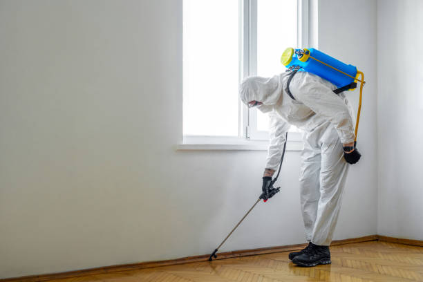 Best Pest Prevention Services  in Gibsonburg, OH