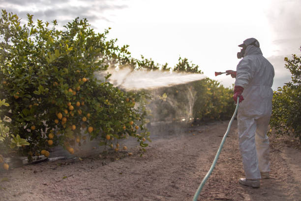 Best Pest Control Cost  in Gibsonburg, OH