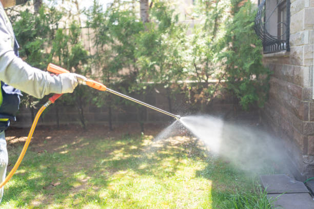 Best Pest Removal Services  in Gibsonburg, OH