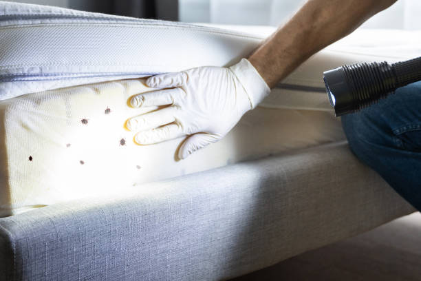 Best Mosquito Control Services  in Gibsonburg, OH