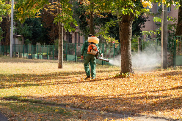 Best Bird Control  in Gibsonburg, OH