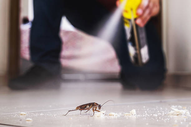 Best Cockroach Control Services  in Gibsonburg, OH