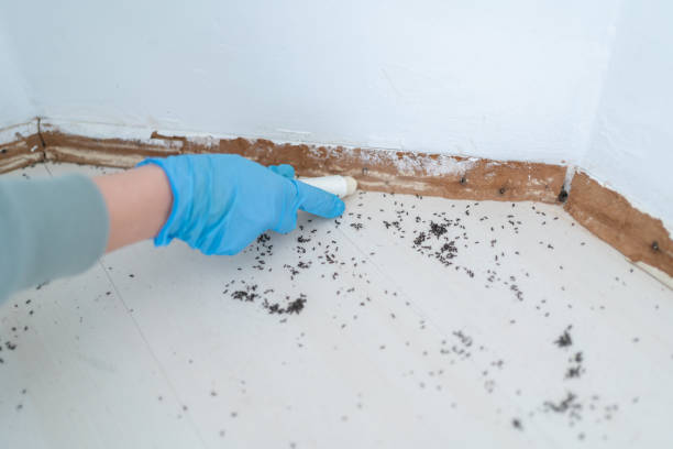 Best Emergency Pest Control  in Gibsonburg, OH