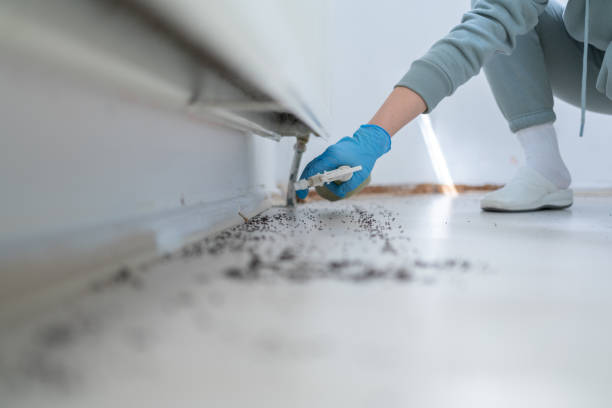 Best Local Pest Control Services  in Gibsonburg, OH