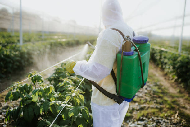 Best Pest Inspection Near Me  in Gibsonburg, OH